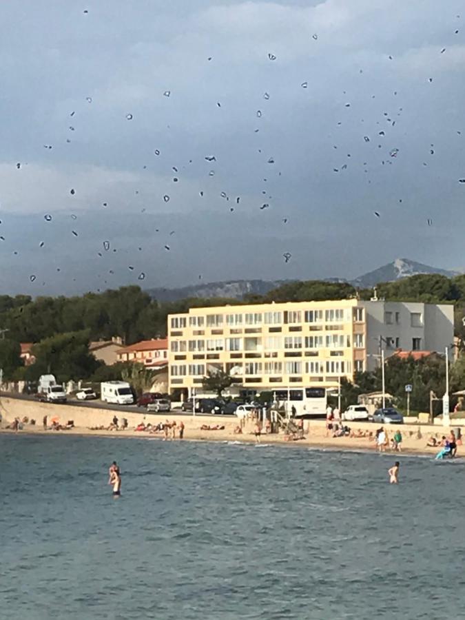 Appartement T2 les pieds dans l eau Vue Mer à Six-Fours-les-Plages Extérieur photo